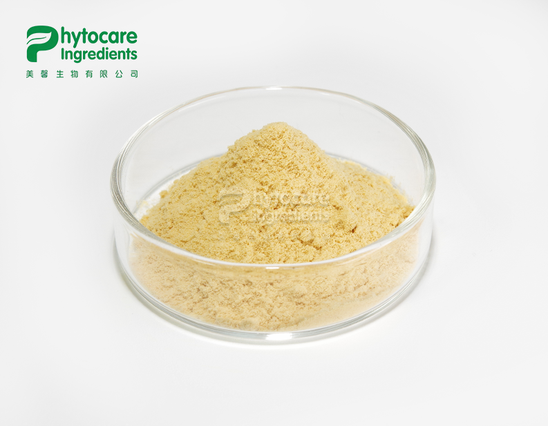 Camellia Seed Extract